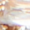 color_swatch:https://shopify-staged-uploads.storage.googleapis.com/tmp/83549356249/files/4da6c329-791d-4602-81d1-908f440e8efd/abiegan_multi_972_sw_sq_100x100.jpg